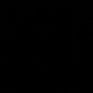 Meet your Posher, The only reason